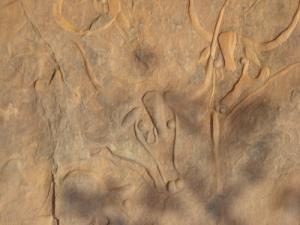 Gravure des vaches qui pleurent  à Tin Gharghar (Wilaya de Illizi)