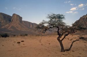 Près de l'Oued traversant la région de Jabbaren