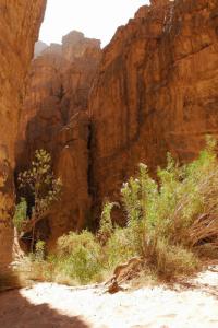 Dans le défilé d'Essendilene (Wilaya d'Illizi)