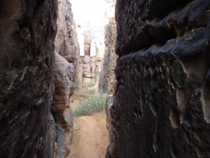 Labyrinthes à Tisras