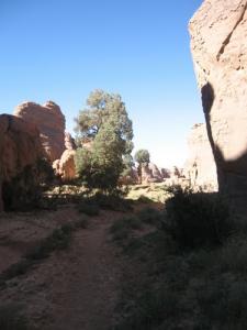 Vallée des Cyprès au Tassili
