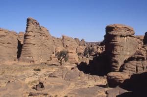 L'oued Tamrit et ses cyprès millénaires