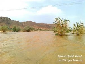 DJANET (ADJAHIL INONDATION OCT/2011)