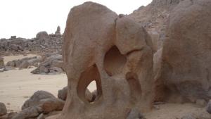 Bèbè éléphant perdu au Tassili (Illizi)