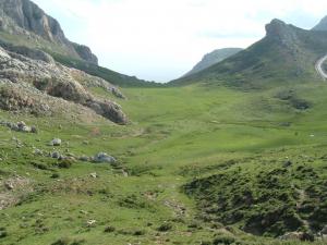 سبحان الله يبدع في خلقه ما يشاء