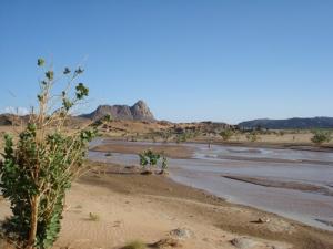 Un Oued Traversant la région d'illizi