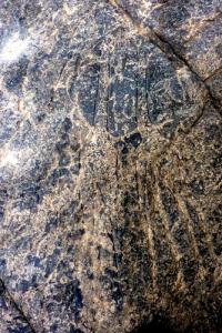 Gravures Rupestres au Tassili