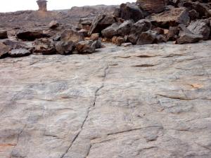 Les Gravures Rupestres du Tassili (Wilaya d'Illizi)