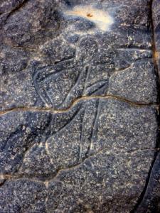 Gravures Rupestre à Illizi