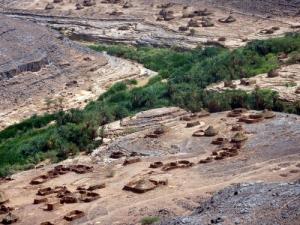 Verdure dans la périphérie de illizi