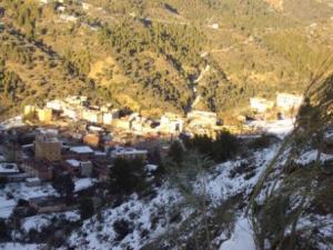 غابات بلدية 