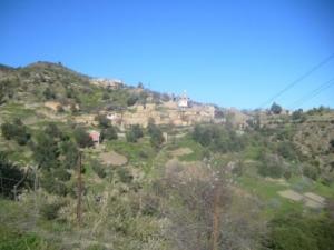 صورة شاملة لقرية 