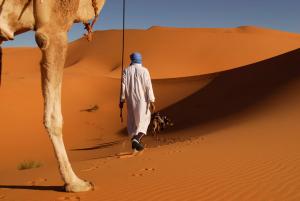 السياحة بضواحي مدينة 