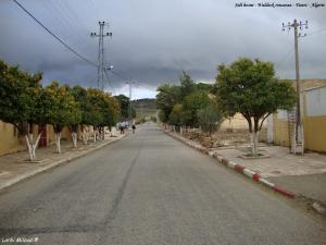 شوارع بلدية 