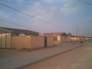 Une Allée de la commune de Bordj Omar Driss