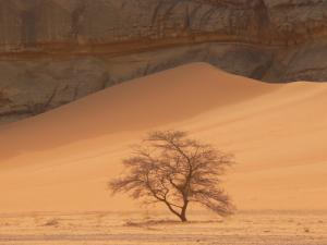 Canyon dans la région de D´jerane