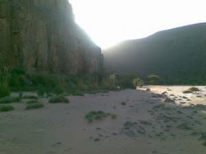 verdure de la région de Awli (illizi)