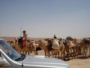 DES NOMADE A TIN FOUYER / ALGERIE