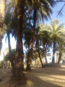 SIDI MOUSSA à Bordj Omar Idriss (illizi)