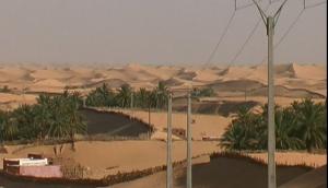 محاربة زحف الرمال ببلدية  شروين  (ولاية أدرار)