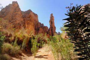 Les Lauriers de la région Essendilene