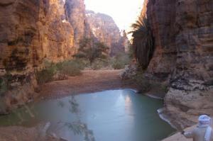 Guelta au fond de l'Oued d'Essendilène