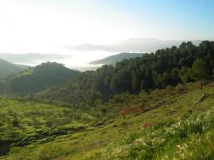 Paysage de Tazalemt à Bordj Bou Arreridj