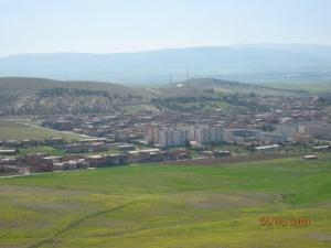 El Anasser Ex Galbois