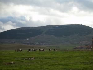 Mzaita vue de Ras El Oued