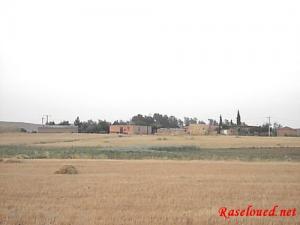 Le Village d'Ain Dchiche (Commune de Ras El Oued)