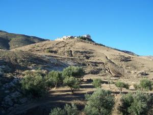 La périphérie du Village de Mansourah