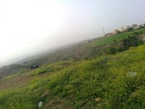 Le Printemps à Hasnaoua (Bordj Bou Arreridj)