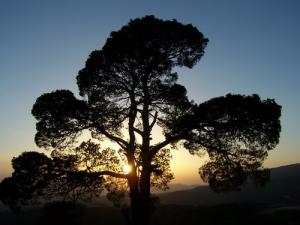 Coucher de Soleil sur Bordj Bou Arreridj
