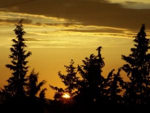 Coucher de Soleil à Mansourah