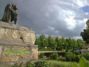 Verdure à Bordj Ghedir