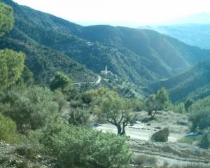 Les Vastes Forêts de Bordj Bou Arreridj