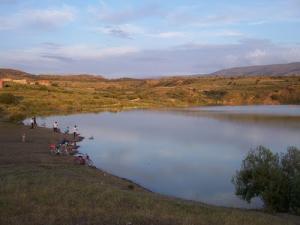 Rive du Barrage Boukaba (Commune de Mansoura)