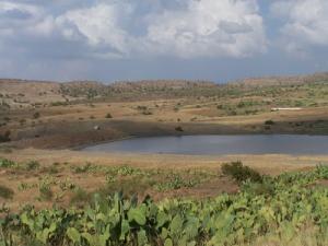 Vu sur le Barrage de  Boukaba (Commune de Mansoura)