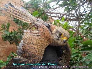 Région d'El Biban (Bordj Bou Arreridj)