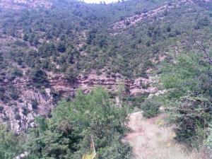 Les Forêts Montagneuses de Bordj Bou Arreridj