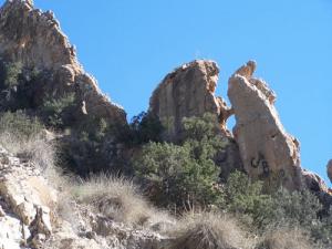 Paysage de Mansourah
