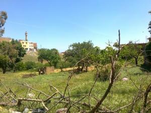 La Mosquée  Omar Ibn Khattab  vue de Loin