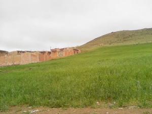 Prairies de Hasnaoua