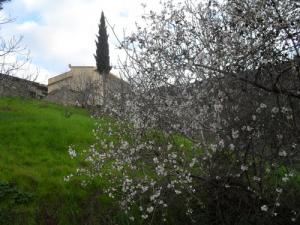 Paysage d'Aghdan Salah (Bordj Bou Arreridj)