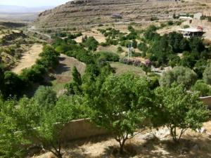 Verdure aux alentours de Bordj Bou Arreridj
