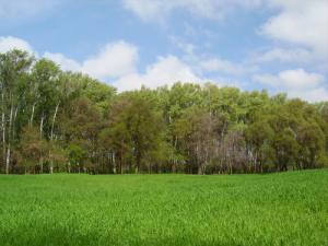 Forêts et Prairies de Ghilassa