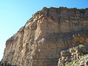 RABTA c'est un lieu d'excursions paléontolgiques passionnantes
