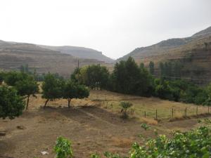 Champs agricoles aux alentours de Bordj Bou Arreridj