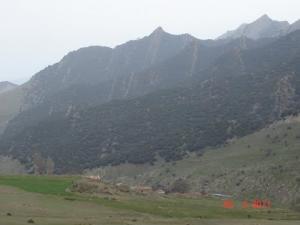 Verdure des Montagnes de Bordj Bou Arreridj