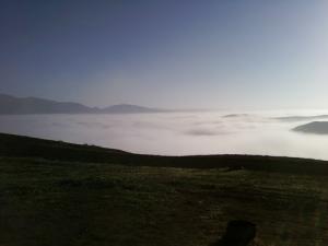 Brouillard sur les prairies de Bordj Bou Arreridj
